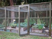 Screened in garden with raised beds. Keeping out birds, large bugs, dogs, and chickens