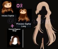 hair combo for Princess Sophia long (short)