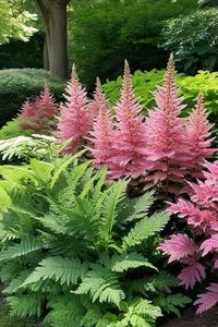 12 Best Perennial Plants For Shade