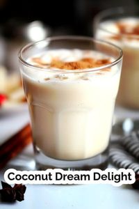 Indulge guilt-free in this sumptuously creamy, egg-free low-carb Coconut Dream Delight Cocktail! A delightful blend of coconut milk, heavy cream, white rum, and coconut vodka with a hint of cinnamon and nutmeg. Perfect for festive occasions! 🥥🍹 #LowCarbCocktail #CoconutDreamDelight #EggFreeCoquito