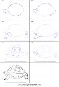 How to Draw a Tortoise printable step by step drawing sheet : DrawingTutorials101.com