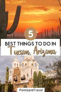 5 Best Things To do in Tucson Arizona. Whether you are a foodie, a dedicated camper, or a refined history buff, Tucson is an oasis in the desert waiting to be discovered. | What to do in Tuscon AZ | Best things to do in Arizona | Tucson Itinerary | Tucson Road Trip | #tucson #arizona