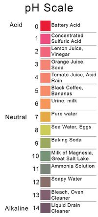 pH scale, pH 1-14, acids, bases