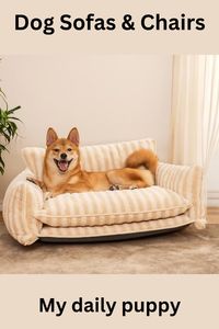 "Create unforgettable bonding moments with your four-legged family members on our cozy dog sofas. Perfect for movie nights, cuddle sessions, and quality time with your beloved pets."
