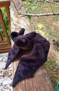 Plush Bats Let Your Friends and Family Know You Are | Etsy