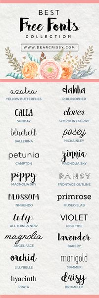 Best Free Fonts for Download! I'm loving this list of gorgeous free fonts for my personal creative projects!