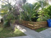 Tropicals and low fence