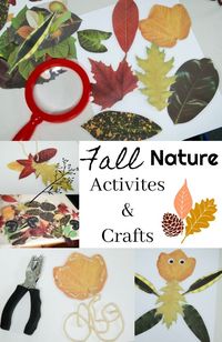 8 Fall Nature Activities & Crafts for kids - these are great! Just grab a basket, fill it with acorns, pinecones, leaves, and sticks then enjoy these kid's crafts! #fall #fallcraft #nature #naturecraft #kidsactivities #montessori #handson #learning #kids