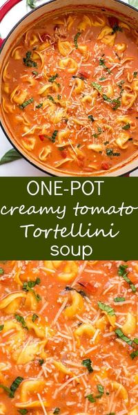 One-Pot Creamy Tomato Tortellini Soup Recipe - The EASIEST homemade creamy tomato tortellini soup made from scratch! Loaded with fresh herbs, diced tomatoes, and three-cheese tortellini! So easy you can even make it in your slow cooker!