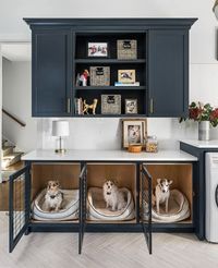 NON-NEGOTIABLE DOG ROOM DECOR ESSENTIALS – heydjangles.com – From dog bowls, pet beds, toys and tech, to pet gates, crates, dog doors and more. Check out our dog room decor wrap-up for all the best dog room decorating ideas and inspiration. Laundry built-in dog crates, blue laundry cabinets. Photo credit: M House Development via Houzz.