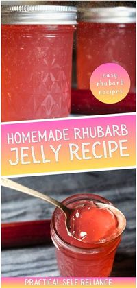 Enjoy the delight of homemade rhubarb jelly, a special spring treat that blends the tartness of rhubarb into a sweet and tangy jelly. This recipe is a must-try for fans of Easy Rhubarb Recipes, perfect for capturing the essence of spring. Find more Canning for Beginners, Preserving Food Recipes, and Homesteading Skills at practicalselfreliance.com.