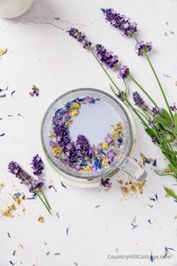 See how to make purple lavender milk! A cup of this warming bedtime drink can help you relax and forget the stress of the day. This easy lavender moon milk recipe is ready in less than 10 minutes and uses natural, good-for-you ingredients like lavender buds, chamomile, vanilla, ashwagandha, almond milk, and honey. The easy moon milk recipe includes versions for vegan/dairy free and keto/sugar free and discusses the potential benefits lavender moon milk for sleep. | CountryHillCottage.com