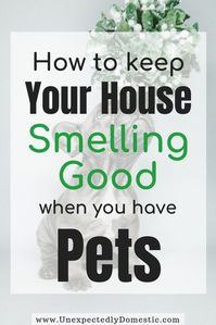 OMG I need this!!! How to keep your house smelling good all the time naturally! These amazing fresh smelling home tips & hacks will work even with smelly pets. Get rid of bad smells with or without air freshener and home fragrance. There are ways to cleanses the air and cleaning tips with essential oils, baking soda and other DIY tips. How to make your house smell good for the holidays, even with dogs. #cleaninghacks #cleaningtips #cleaningtricls #smellgood #homehacks #homefragrance