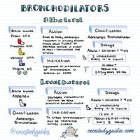 Do you know which inhaler to give first? Bronchodilator or steroid inhaler? 🫁