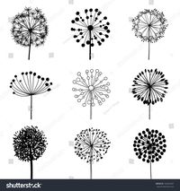 Floral Elements for design, dandelions. EPS10 Vector illustration