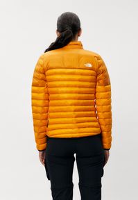 The North Face TERRA PEAK JACKET - Winter jacket - apricot glaze/iron citrus/orange - Zalando