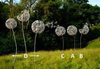 Wire Sculpture Dandelions by FantasyWire