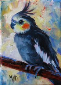 Daily Paintworks - "Cockatiel Dreaming" - Original Fine Art for Sale - © Mary  Van Deman