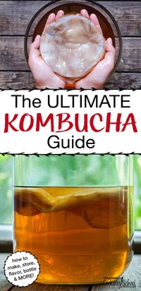 What is Kombucha? A sweet, sour and fizzy probiotic drink! We get so many questions and comments about this nourishing drink that we're answering all your questions from how to make and store Kombucha to how to store a SCOBY, to Kombucha troubleshooting, the best flavors, tips for beginners, side effects and MORE, The ULTIMATE Kombucha Guide has the answers to your brewing questions! #kombucha #benefits #recipe #DIY #howtomake #flavors #tradcookschool