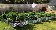 Metal Garden Beds - Be Your Own Farmer