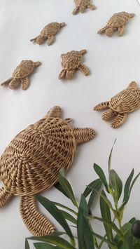 Set of 7 Turtle Wicker Hanging Decor Wicker Nautical Wall - Etsy