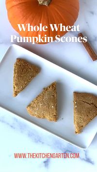 20min · 8 servings

 

Ingredients:
 • Whole wheat flour
 • Baking powder
 • Honey
 • Baking soda
 • Salt
 • Greek yogurt
 • Vanilla extract
 • Pumpkin purée 
 • Pumpkin pie spice
 • Butter
 • Powdered sugar
 • Cinnamon 
 • Milk

For full recipe, visit: https://thekitchengarten.com/pumpkin-scones-cinnamon-glaze/

