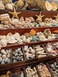 #shells #beaches #beachlife