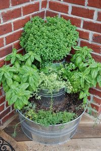 Perfect herb garden for a small space!