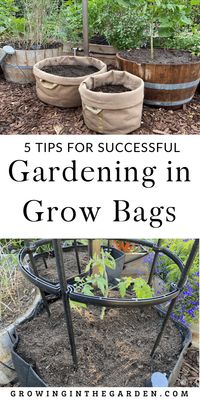 Gardening in Grow Bags: 5 Tips for Success | Growing In The Garden