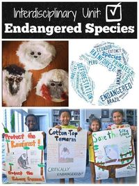 Interdisciplinary Unit Endangered Species: kids become "experts" on an endangered species, and then help to spread awareness. Great for World Animal Day October 4th:).