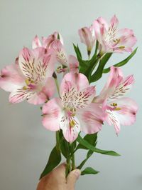 light pink alstroemeria- centerpieces, bride's bouquet, cake