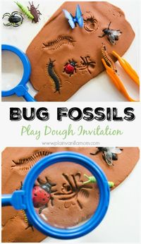 Explore Bugs with this Bug Fossils Play Dough Invitation. Includes play ideas and book pairings.