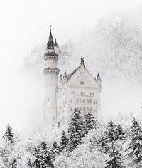 ✧ Castel Ice, capitale du Frost Kingdom Grand-Palais, résidence de la famille royale des Coldewm