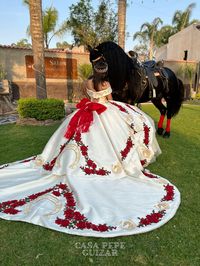 Vestido bordado de quinceañera