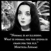 This is a surprisingly good quote from the Addam's Family - 9GAG