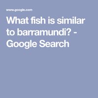 What fish is similar to barramundi? - Google Search