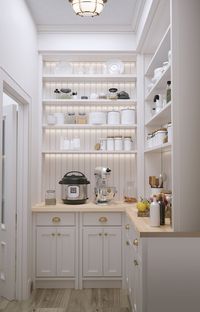 3D Kitchen Pantry Design, Interior Visualization, Pantry Renovation, Kitchen Pantry Remodel, Craftsman Design - Etsy