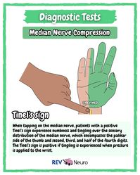 Looks like the Pope’s hand of benediction just got diagnosed with a median nerve injury! Read more below ⤵️ We have more information coming soon on all the deformities of the hand, stay tuned @rev.med ✅ Overview The median nerve arises from the brachial plexus (C5-T1) and provides motor and sensory innervation to the forearm and hand. It controls important muscles such as the flexor digitorum superficialis, flexor digitorum profundus (lateral half), and thenar muscles (opponens pollicis, ...