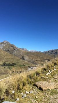 Great place . . . #travel #photography #picture #follow #treek #love #instagood #instagram #photooftheday #beautiful #art #photography #perfect #peru #green #lakes #huaraz #peru #reels #lienzo