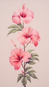 Vintage drawing red Hibiscus hibiscus | Premium Photo Illustration - rawpixel