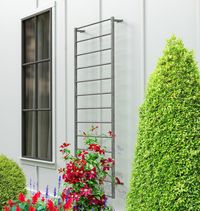 Steel Ladder Trellis | Rejuvenation