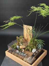 Handmade one of a kind desktop zen garden featuring real living plants and a water fixture. This mini garden is an art piece that presents the essence of zen in its beautiful and serene design. It uses an electric water pump to supply water to the plants. Minimal care is needed for you to watch the plants grow, listen to the water flow, and enjoy a mind calming garden from any room. Please Note: These are handmade from natural materials. They will be very similar but may not be identical to the