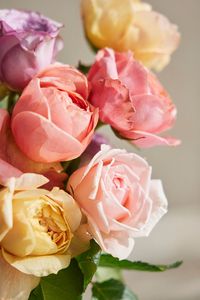 Stunning in its simplicity, this gorgeously colorful bouquet is brimming with 18 stems of assorted Japanese and European garden roses. Garden roses are highy fragrant and special; each one has a unique silhouette.