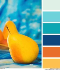 Beach House Color Palettes