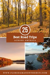 You don't have to look any further than this list of great road trips across America. Featuring trips from states all around the country, they are all great in pretty much any season. If you're a lover of road trips, then check out this list and start planning your next big trip! #roadtrips #roadtripinspiration #bestroadtrips #scenicdrives #scenicroadtrip