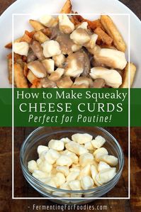 Squeaky Cheese Curds - Fermenting for Foodies