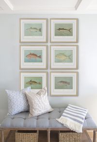 Vintage Saltwater Fish Wall Art Collection for Coastal Decor, Boho Chic Nautical Beach House Style Art Prints, Watercolor Coastal Art - Etsy