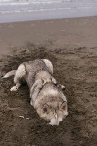 beach fun!