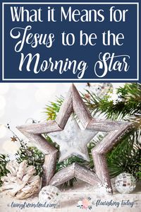 What does it mean for Jesus to be the Morning Star? Join us as we search the scriptures for the Names of Jesus this Christmas.