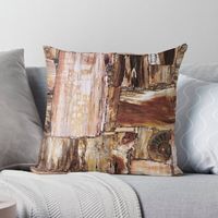 "Petrified Wood " Throw Pillow by ilovesbd | Redbubble